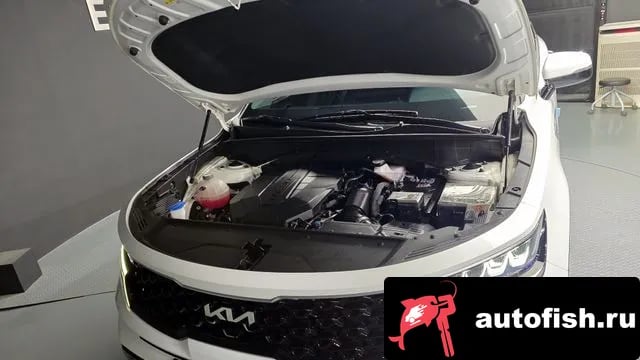 Kia Sorento All New Sorento 2021 года - вид 6