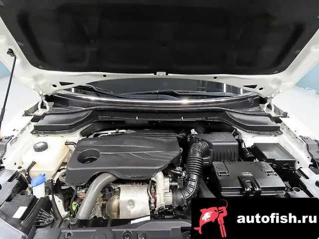 KG Mobility (Ssangyong) TIBOLI Berry New Tivoli 2022 года - вид 6