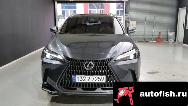 Lexus NX NX350h Second generation 2023 года - вид 1