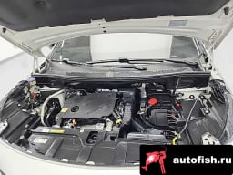 Миниатюра 6