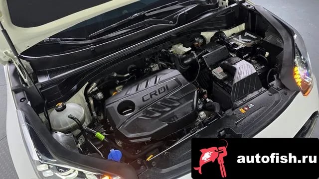 Kia Sportage Sportage The Bold 2019 года - вид 6