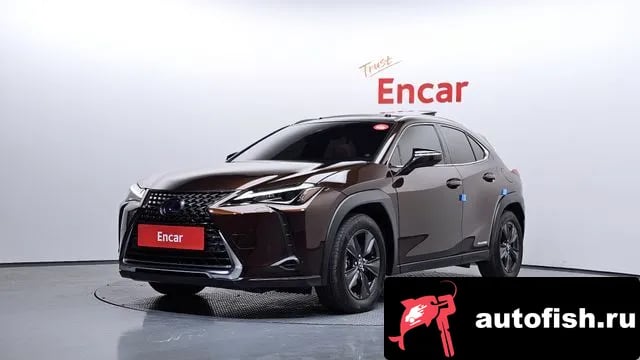 Lexus UX UX250h 2019 года - автомобиль из Южной Кореи