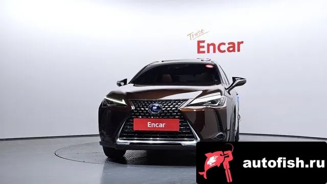 Lexus UX UX250h 2019 года - вид 3