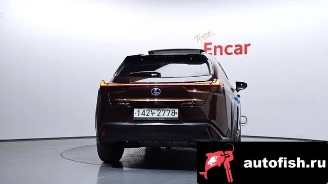 Lexus UX UX250h 2019 года - вид 4