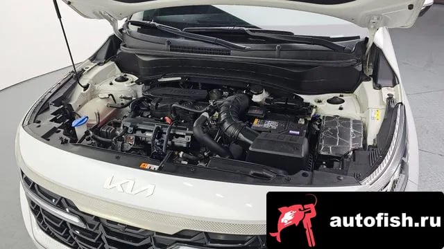 Kia Seltos The New Celtos 2023 года - вид 6