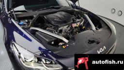 Миниатюра 6