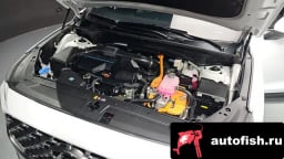 Миниатюра 6