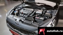 Миниатюра 6