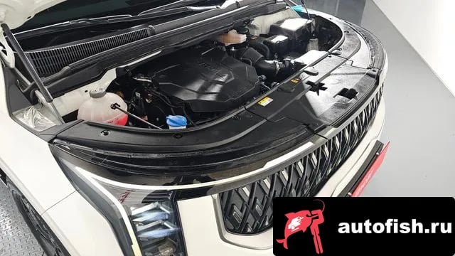 Kia Carnival The New Carnival 4th Generation 2024 года - вид 6
