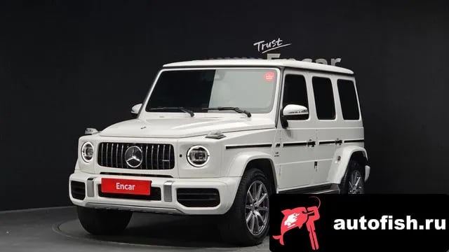 Mercedes-Benz G-Class G-Class W463b 2020 года - вид 1