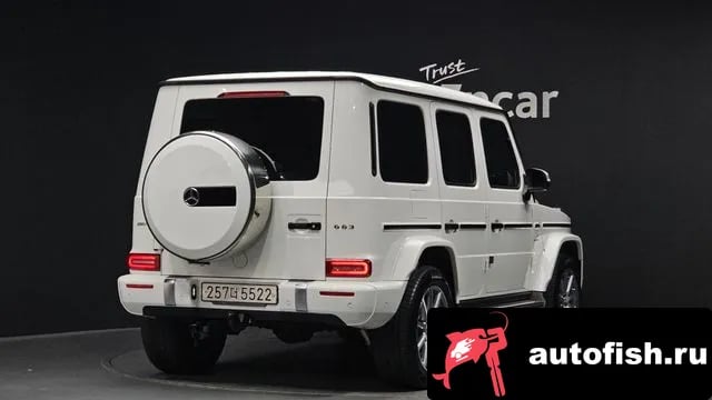 Mercedes-Benz G-Class G-Class W463b 2020 года - вид 2
