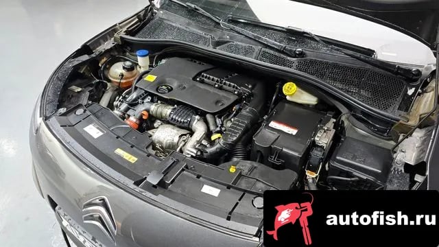 Citroen-DS C4 CACTUS C4 Cactus 2018 года - вид 6