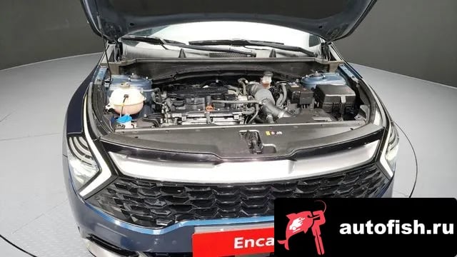 Kia Sportage Sportage 5th Generation 2022 года - вид 6
