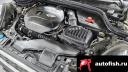 Миниатюра 6