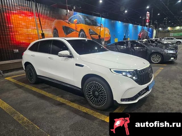 Mercedes-Benz EQC EQC N293 2020 года - вид 2