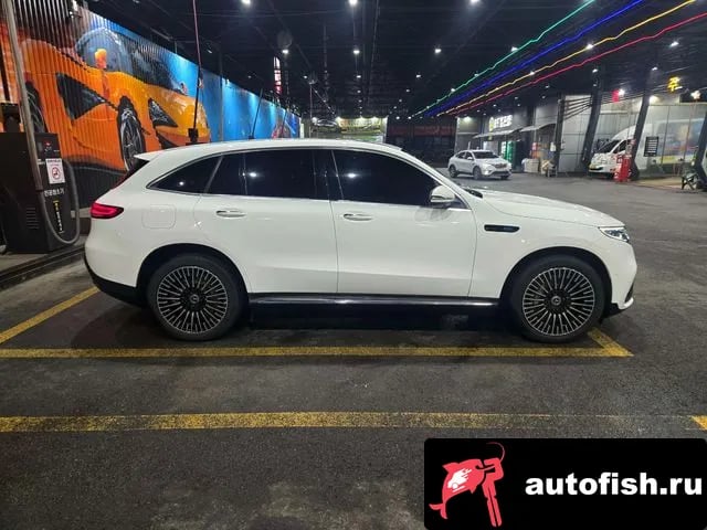 Mercedes-Benz EQC EQC N293 2020 года - вид 5