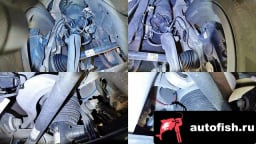 Миниатюра 6