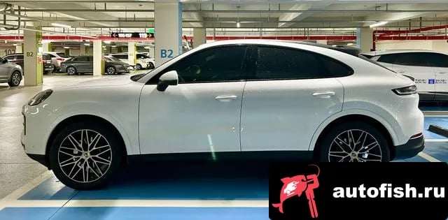 Porsche Cayenne Cayenne (PO536) 2024 года - вид 3