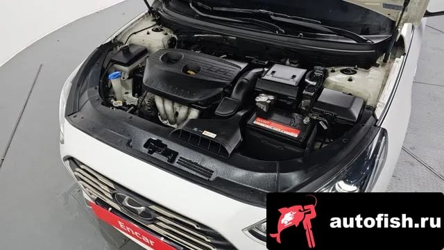 Hyundai Sonata Sonata New Rise 2019 года - вид 6