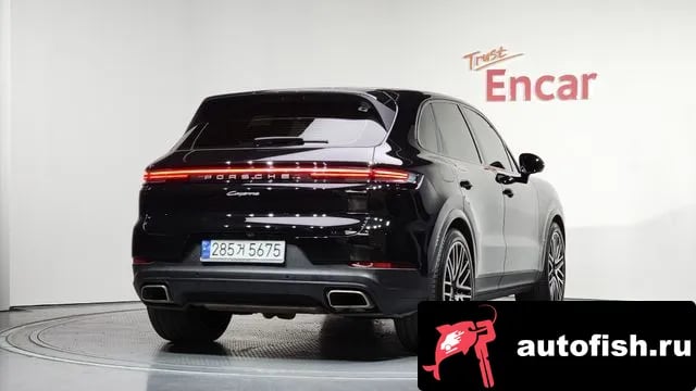Porsche Cayenne Cayenne (PO536) 2024 года - вид 2
