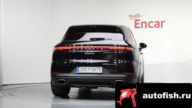 Porsche Cayenne Cayenne (PO536) 2024 года - вид 4