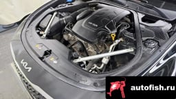 Миниатюра 6