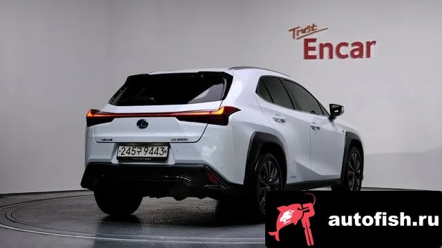 Lexus UX UX250h 2021 года - вид 2