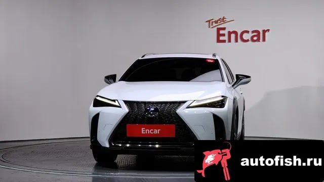 Lexus UX UX250h 2021 года - вид 3
