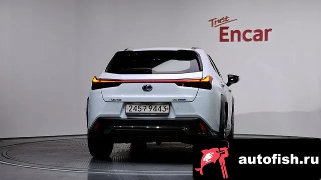 Lexus UX UX250h 2021 года - вид 4
