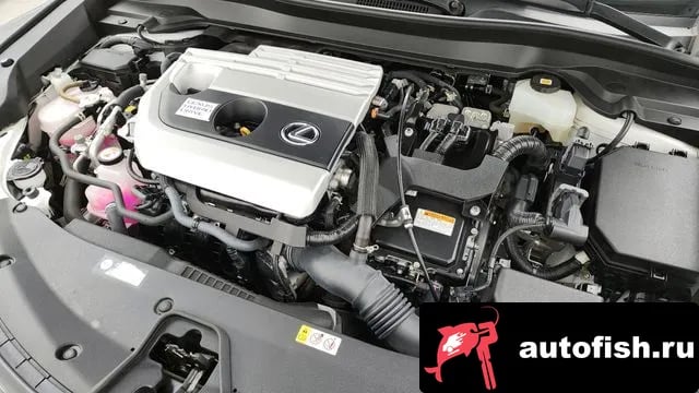 Lexus UX UX250h 2021 года - вид 6