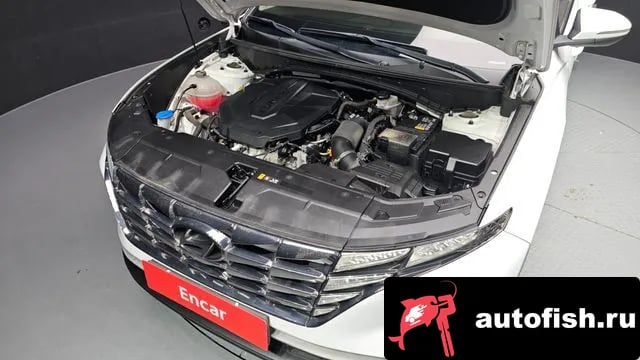 Hyundai Tucson Tucson (NX4) 2022 года - вид 6