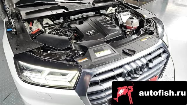 Audi Q5 Q5 (FY) 2020 года - вид 6