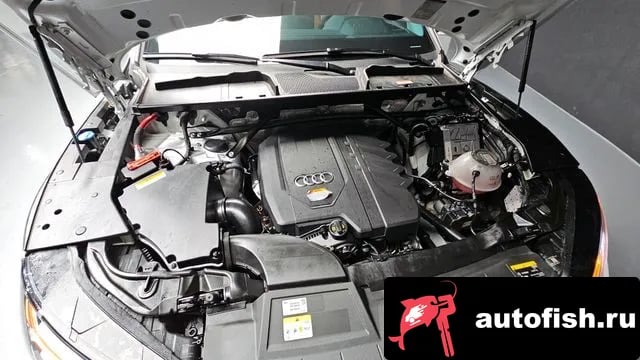 Audi Q5 Q5 (FY) 2022 года - вид 6