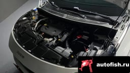 Миниатюра 6