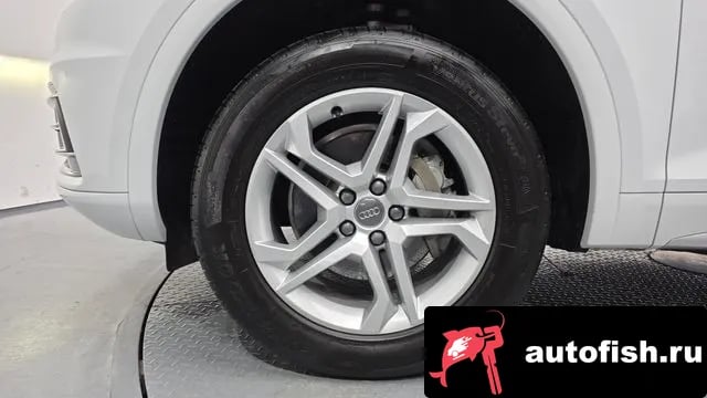Audi Q5 Q5 (FY) 2020 года - вид 5