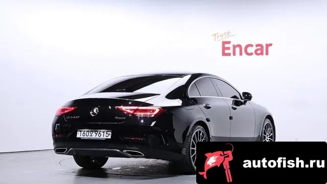 Mercedes-Benz CLS-Class CLS-Class C257 2019 года - вид 2