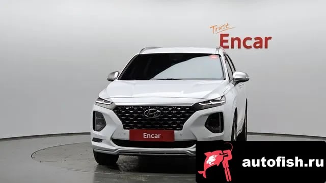 Hyundai Santafe San Tafe TM 2019 года - вид 3