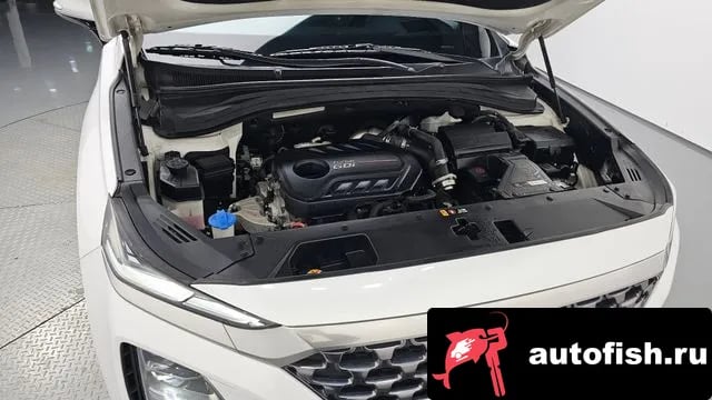 Hyundai Santafe San Tafe TM 2019 года - вид 6