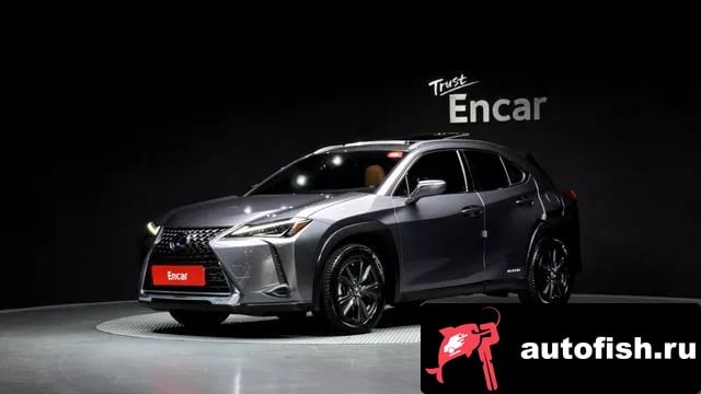 Lexus UX UX250h 2019 года - автомобиль из Южной Кореи