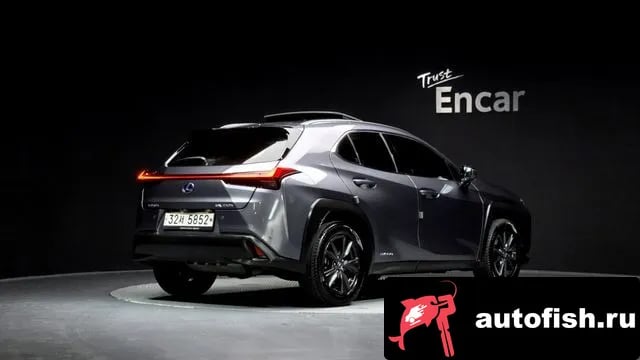 Lexus UX UX250h 2019 года - вид 2
