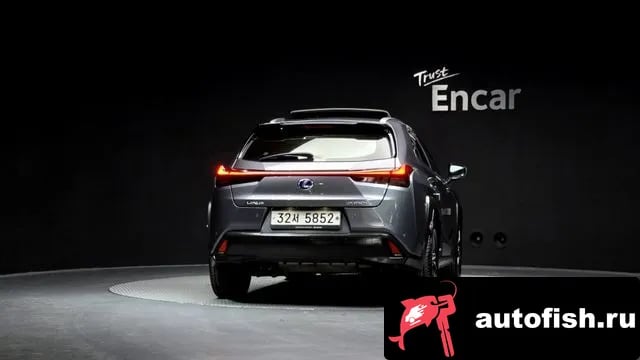 Lexus UX UX250h 2019 года - вид 4