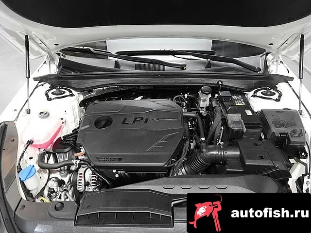 Kia K5 The New K5 3rd generation 2024 года - вид 6