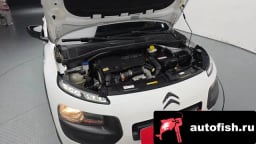 Миниатюра 6