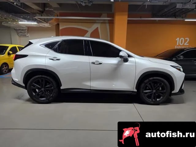 Lexus NX NX350h Second generation 2024 года - вид 6