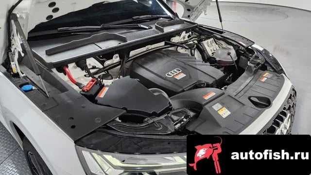 Audi Q5 Q5 (FY) 2024 года - вид 6