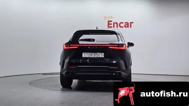 Lexus NX NX350h Second generation 2022 года - вид 4