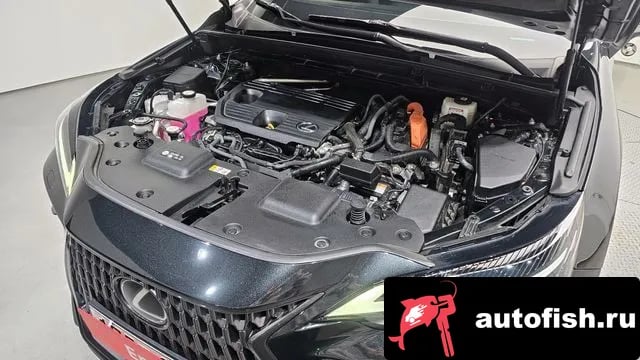 Lexus NX NX350h Second generation 2022 года - вид 6