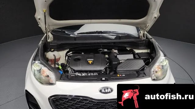 Kia Sportage Sportage The Bold 2018 года - вид 6