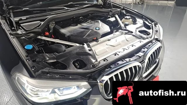 BMW X4 X4 (G02) 2021 года - вид 6