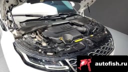 Миниатюра 6